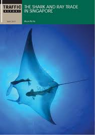 Pdf | registration of land title evidences an indefeasible ownership. Singapore S Shark And Ray Trade
