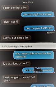 These 45 Texts Will Make You Grateful You Don T Live In The Same Neighborhood As These People Really Funny Memes Crazy Funny Memes Funny Text Memes