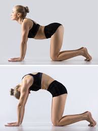 Sciatica describes the feeling of pain or numbness that originates in the lower back, runs through the buttocks, then down the back of the leg via the sciatic nerve. 11 Ways To Treat Sciatic Nerve Pain Effectively