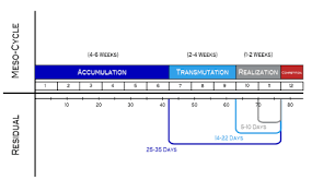Image result for training effect schema