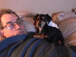 AUG 4TH *** Our sweet Siemese, Lucy, is STILL missing! ❓️🐱❓️ She's such a  huge part of our family and we are heartbroken that we can't find her! 💔  Her sister,