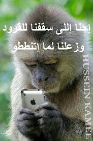 pin by hussein kamel on words funny pictures cool words funny