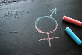 Isso significa que sua identidade de gênero e expressão de gênero não são. Justica De Saia O Que E Cis Trans Nao Binario E Outras Definicoes De Genero