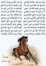 pin by mohammed al harbi on ديوان الشعر beautiful arabic words arabic poetry arabic books