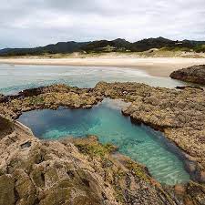 you may have heard of matapouri s secret mermaid pool but did you know that great barrier island has its own mermaid pool at medlands beach not as big or as