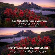 Trust Allah Religie