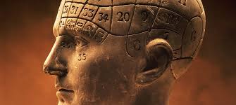 Image result for Thesium dissitum