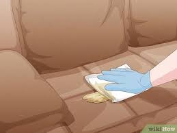 3 Ways To Remove Cat Spray Or Pee From