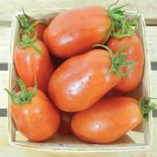 Tomatoes are an integral part of our everyday diet. Low Acid Tomatoes