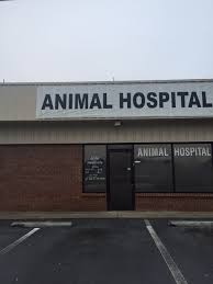 Check spelling or type a new query. All Pets Vet Hospital 8774 Dallas Acworth Hwy Ste 5 Dallas Ga 30132 Yp Com