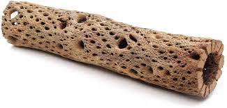 The spines easily attach to your clothing, your skin, your shoes. New 4 Pieces 6 Inch Cholla Cactus Wood Organic Shrimp Fish Aquarium Untreated Decorations Pet Supplies