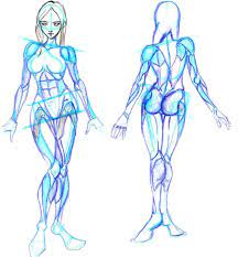 Steps to draw the bodystart with the gesture, then the frame and last the muscles credit i'm back, and this time i'll be showing you how to draw muscles. More Like Anatomy Female Musculature By Kaneandjake Female Anatomy Reference Human Body Drawing Anatomy Reference