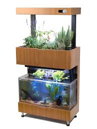 Jeder einzelne von unserer redaktion begrüßt sie als interessierten leser hier. Fische Dungen Den Salat Im Wohnzimmer Ingenieur De