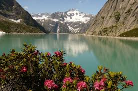 Švýcarsko je členem rady evropy, osn, efta, oecd a wto. V Bernu Se Da Koupat V Rece Tak Ze Se Nechate Unaset Proudem A Vidite Parlament Dvojka