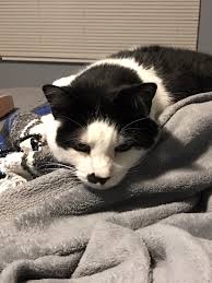 How about an Everything Biscuit? 😁