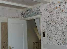 We did not find results for: Black Spots On Wall In Bedroom Novocom Top