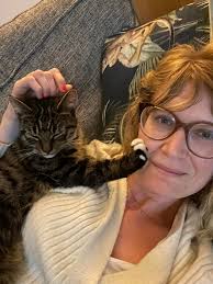 How to find a lost cat in the Arroyo Grande area?