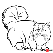 How to animal friends, how to draw dinosaurs, how to draw dogs & puppies, how to draw horses & ponies, how to draw sea creatures, and how to draw zoo. How To Draw The Norwegian Forest Cat Sketchok