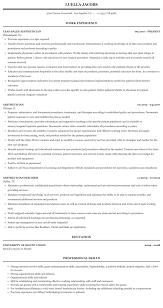aesthetician resume sample mintresume