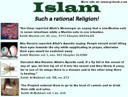 Now the drinking of camel urine is based upon a verse in the hadith, one of the muslim holy books so the prophet ordered them to go to the herd of (milch) camels and to drink their milk and urine drinking camel urine is even recommended for cancer patients by dr. Ù…Ø¯ÙˆÙ†Ø© Ø§Ù„Ø¬Ø²ÙŠØ±Ø© Ø§Ù„Ø¹Ø±Ø¨ÙŠØ© Medicine From Camel Urine And Mares