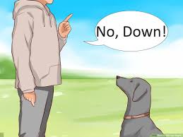Font size 50% 75% 100% 125% 150% 175% 200% 300% 400%. How To Tell Your Dog No 12 Steps With Pictures Wikihow