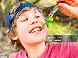 6.629 Fruit Jelly Stock Photos, High-Res Pictures, and Images