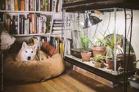 Empty Fish Tank Reuse As Terrarium For Small Plants And Seedlings In Winter By Joselito Briones Diy Fish Tank Fish Tank Small Fish Tanks