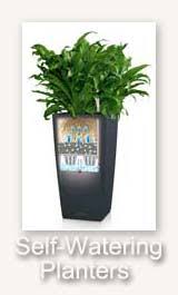 Image result for Rothmannia manganjae