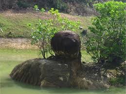 Pulau besar merupakan antara lokasi tumpuan di melaka yang banyak dikaitkan dengan kisah mistik dan lagenda. Jom Terokai 25 Tempat Menarik Di Pulau Besar Melaka Ammboi