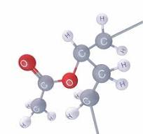CONSTRUCTION, INDIA: PRODUCT OVERVIEW POLYMER DISPERSIONS