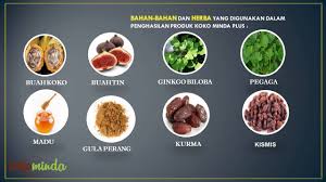 The halal food products have turned out to be progressively popular among consumers globally, as the idea of halal is related with good, healthy, safe and high quality assessment. Koko Minda Food Industries M Sdn Bhd Promo 2016 Bahasa Malaysia Youtube