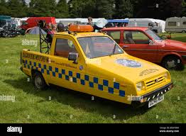 Image result for Jasmine Yellow 1994 Reliant