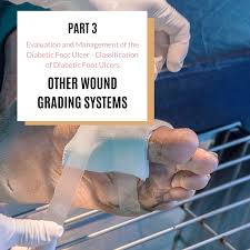 (1) causative factor (peripheral neuropathy, high foot figure 1: Part 3 Evaluation And Management Of The Diabetic Foot Ulcer Classification Of Diabetic Foot Ulcers Other Wound Grading Systems Rx Pad Wound Care Education Partners