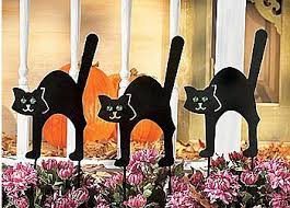 Black Cat Halloween Decoration Ideas For Indoor And Outdoor Spooky Fun Pictures Of Cats Black Cat Decor Black Cat Halloween Halloween Decorations