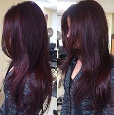 See more ideas about hair styles, hair, hair makeup. Medium Red Violet Brown Hair Color Novocom Top