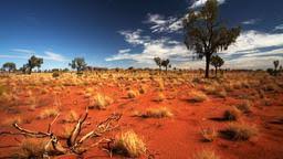 Mercure lost camel is a contemporary, fun, boutique style hotel conveniently located in the heart of ayers rock resort, only 20 min from uluru. Hotels In Yulara Auf Kayak Suchen