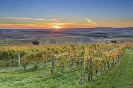 Rohr im burgenland städte und gemeinden, güssing, bezirke und statutarstädte. Osterreich Burgenland Bezirk Oberpullendorf Nahe Neckenmarkt Weinberge Im Herbst Bei Sonnenaufgang Blick Uber Deutschkreutz Blaufrankischland Fotografie Weinrebe Stock Photo 180245336