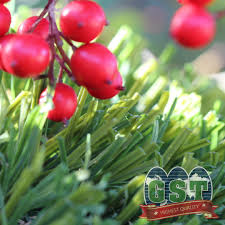 Olive 92 Stemgrass In 2020 Turf Installation Natural Grass Lawn Maintenance