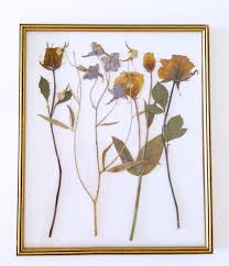 Maybe you would like to learn more about one of these? How To Press Botanicals Collective Gen