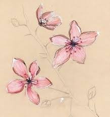 Fleurs De Cerisier 1 Dessin De Fleurs Au Crayon Fleur De Cerisier Dessin Dessin Pastel