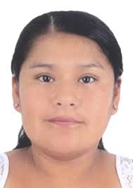 Ingresos de Otorongos Elecciones 2022