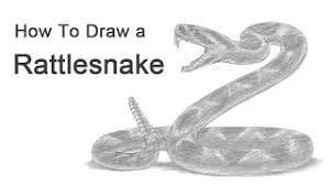 How To Draw A Snake Diamondback Rattlesnake Youtube Téléchargez dès aujourd'hui l'illustration vectorielle dessin animé de serpent. how to draw a snake diamondback