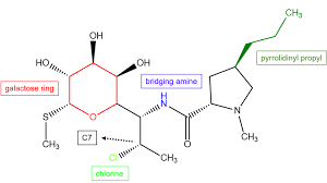 Image result for Clindamycin