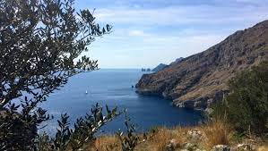 Sono sempre 32, come nella classifica bandiere blu 2020.la campania si piazza al secondo posto con 19 bandiere blu (un'uscita e una new entry), superando la toscana con 17 vessilli (e tre uscite), al terzo posto insieme alla puglia che ha invece 3 new entry e un'uscita. Thg Hi8iwite3m
