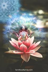 On the one hand, the hydrangea is said to represent the spirit of gratitude, and on the other, frigidity and heartlessness. Lotus Flower Meaning Symbolism And Colors Buddhist Symbol Of Purity