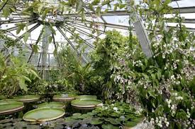 Le Jardin Botanique De Lyon Jardines Verde