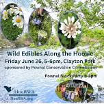 Wild Edibles Along the Hoosic and Tabling at Pownal Block Party