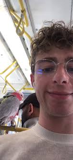 I love it when birbs support public transit 😌