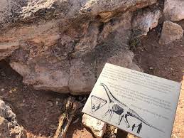 Maybe you would like to learn more about one of these? Mill Canyon Dinosaur Trail Ut Hike