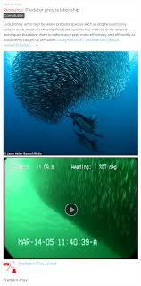 Predator Prey Relationship Biology Lessons Ecology Unit Biology Classroom